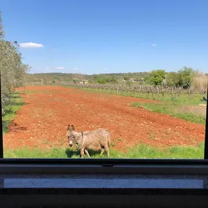 https://apartment-bodi.in-istria.net